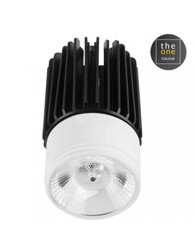 Módulo led PLAY 71-3226-14-OE Leds c4 led 13w 1526 lm blanco negro, Otros accesorios