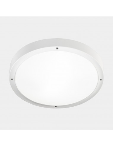 Plafón Ip66 Basic Led 24 Sw...