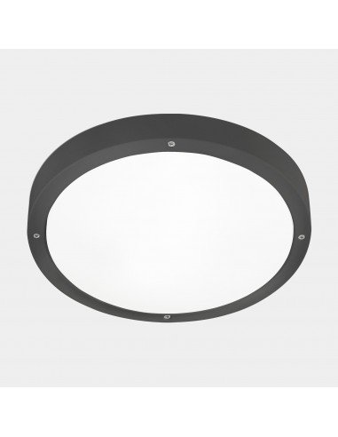 Plafón Ip66 Basic Led 24 Sw...