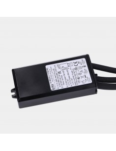 Driver 0-10V IP68 700mA...