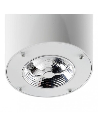 Kit de luz FORMENTERA 71-4393-CF-CF LEDS C4 blanco brillante para mod Formentera, Tulipas y accesorios de ventiladores
