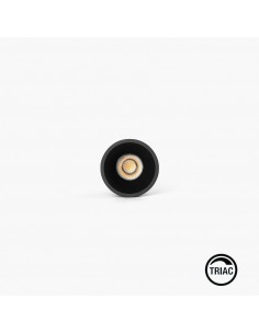 Downlight Tulipa Sim...