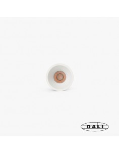 Downlight Tulipa Sim...