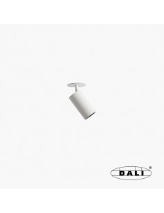 Projecteur Fost Pulldown...