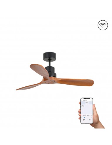 Ventilateur Mini Lantau S 33517DCWT...