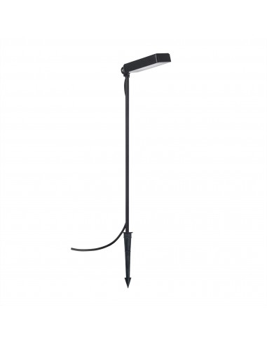 Piquet Pious PX-0670-NEG Forlight...