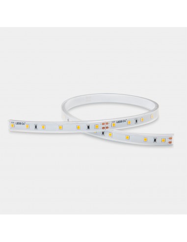 Bande LED On Basic 4.8 10mm...