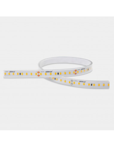 Bande LED On Performance 19.2...