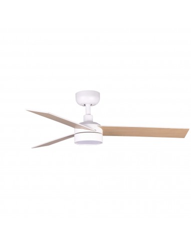 Ventilateur Rudder 3 S 34295WT1S Faro...