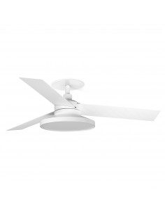 Ventilateur Cruiser...