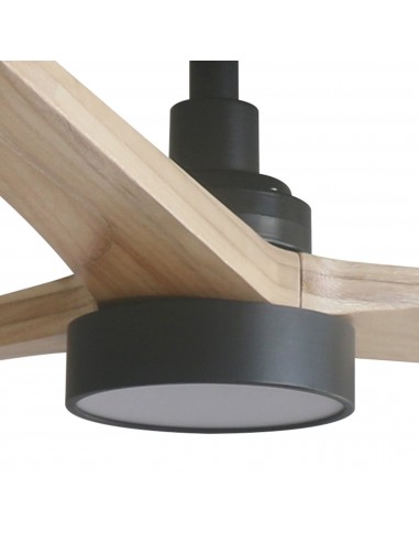 Kit de lumière Taki 3L043 Faro noir...