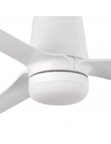 Kit de lumière Punt 2024/Tub 3L038...