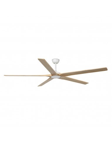 Ventilateur Bigwood 20 Xl 34191VC...