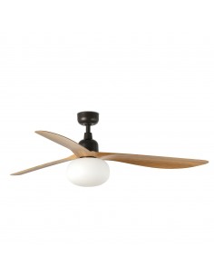 Ventilateur Outwood...