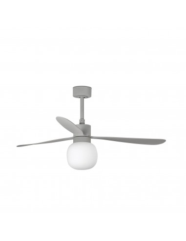 Ventilateur Amelia 33762RW2W Faro...