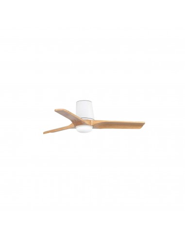Ventilateur Heywood Tub S 33836RB1S...