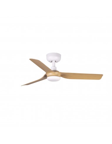 Ventilateur Mini Punt 33821RB Faro...