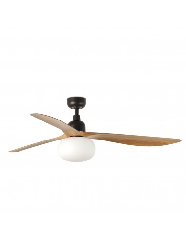 Ventilateur Outwood 34360RW1B Faro...
