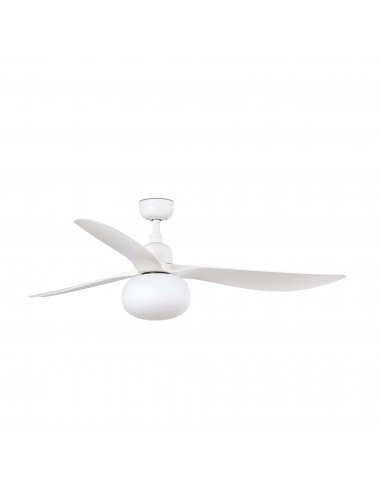Ventilateur Outwood 34363RW1B Faro...