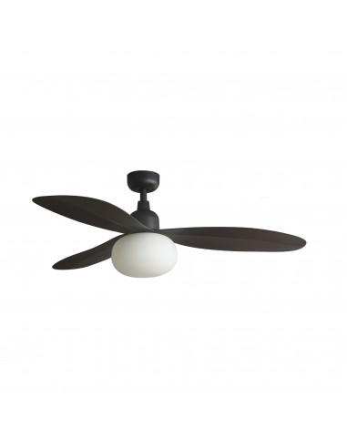 Ventilateur Palma 34301RB1B Faro...