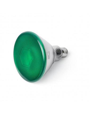 Bombilla led FARO E27 PAR38 17399 10w verde 4000k 850 Lm, Especiales led (G9 GU10 R7S)