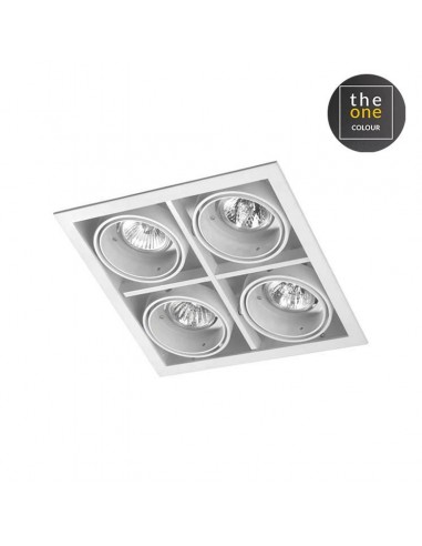 Downlight De plafond MULTIDIR...