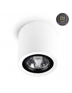 Plafonniers EXIT 1 x gu10...