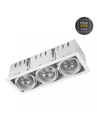 Downlight De plafond MULTIDIR...