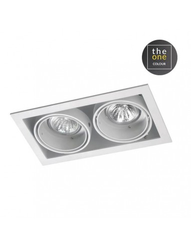 Downlight De plafond MULTIDIR...