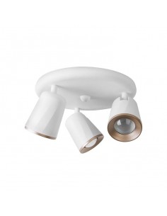 Spot leroy MERLIN 30 x led...