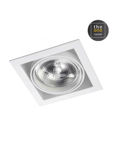 Downlight De plafond MULTIDIR...